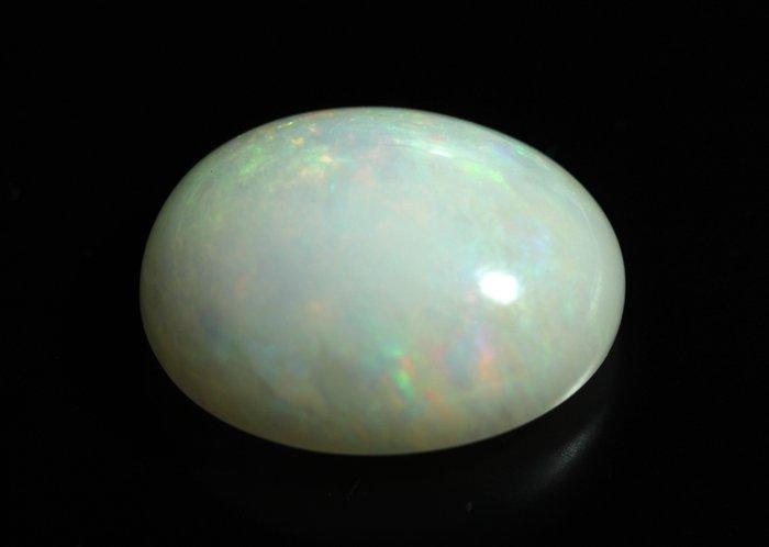 Zonder Minimumprijs Wit Opaal - 15.77 ct - Instituto, Sieraden, Tassen en Uiterlijk, Edelstenen