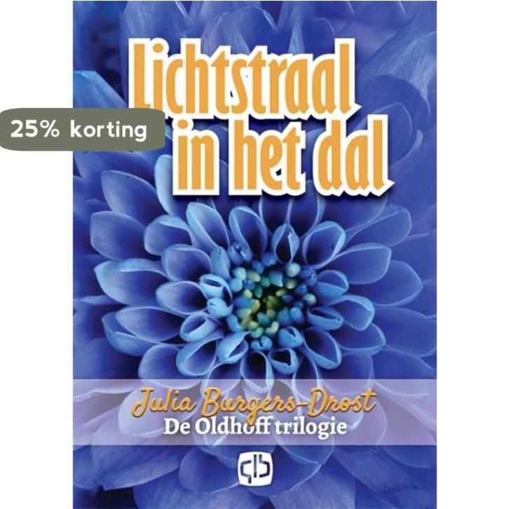 Lichtstraal in het dal / Grote letter bibliotheek / 3171, Boeken, Streekboeken en Streekromans, Gelezen, Verzenden