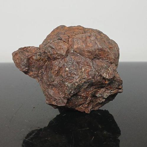 SERICHO PALLASIET Vrije vorm - Hoogte: 30.5 mm - Breedte:, Verzamelen, Mineralen en Fossielen