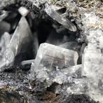 Enorme geode van anglesiet, talrijke en grote kristallen., Verzamelen, Mineralen en Fossielen