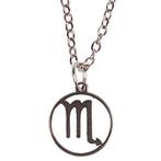 Ketting Zilverkleurig 55cm - Hangertje Sterrenbeeld RVS -  S, Sieraden, Tassen en Uiterlijk, Kettingen, Ophalen of Verzenden, Nieuw