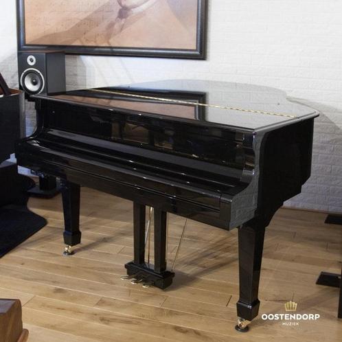 Sebastian Steinwald Vleugels, Muziek en Instrumenten, Piano's