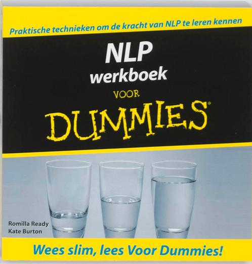 Voor Dummies - NLP Werkboek voor Dummies 9789043016599, Boeken, Psychologie, Gelezen, Verzenden