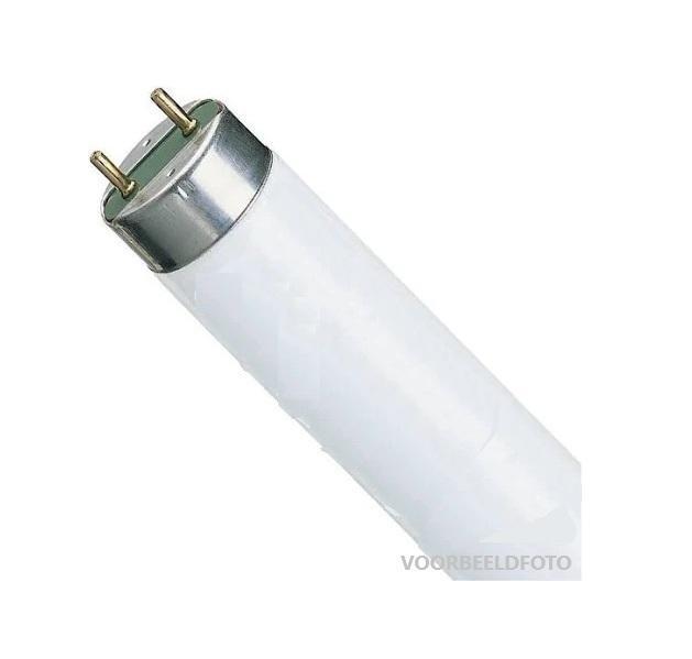 NIEUWE Osram Lumilux TL buizen 30 watt - kleur 865 (alleen p, Doe-het-zelf en Verbouw, Bouwverlichting, Ophalen of Verzenden