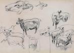 Willem Hendrik van der Nat (1864–1929) - Schapenstudies