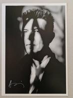 Antonín Kratochvíl - David Bowie