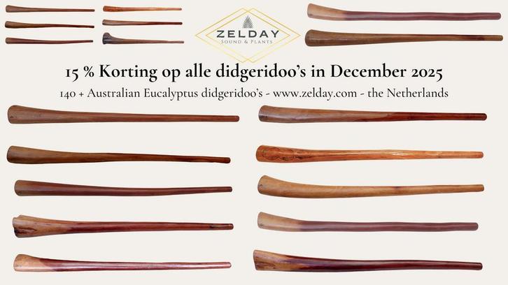 15 % December korting op ALLE Eucalyptus Didgeridoos!, Muziek en Instrumenten, Blaasinstrumenten | Didgeridoos, Nieuw, Ophalen of Verzenden