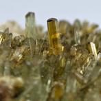 EPIDOTO ALPINO, 100+ cristalli, Italië Kristallen op matrix, Verzamelen, Mineralen en Fossielen