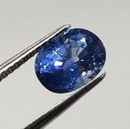 1 pcs Blauw Saffier - 2.11 ct - Gemological Institute of, Sieraden, Tassen en Uiterlijk, Edelstenen, Nieuw