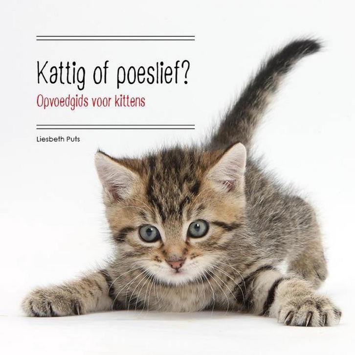 Kattig of poeslief? 9789081565905 Liesbeth Puts, Boeken, Hobby en Vrije tijd, Zo goed als nieuw, Verzenden