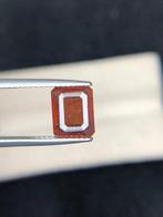 Zonder minimumprijs - 1 pcs Bruin, Oranje Gemengde, Nieuw