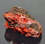 crocoiet Kristallen op matrix - Hoogte: 5 cm - Breedte: 8, Verzamelen