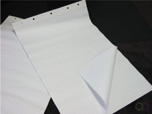 Papier Tbv Flipover - VE=2 Pakken | Displaywinkel.nl, Zakelijke goederen, Kantoor en Winkelinrichting | Kantoorartikelen, Nieuw in verpakking
