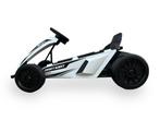 ROLLZONE drift Go-Kart, 24 volt kart met 200 watt motoren..., Kinderen en Baby's, Speelgoed | Buiten | Skelters, Verzenden, Nieuw