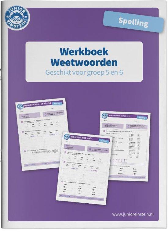 9789492265807 Spelling Weetwoorden geschikt voor groep 5 ..., Boeken, Schoolboeken, Nieuw, Verzenden
