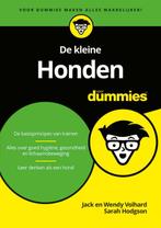 De kleine Honden voor Dummies 9789045356402 Sarah Hodgson, Boeken, Verzenden, Gelezen, Sarah Hodgson