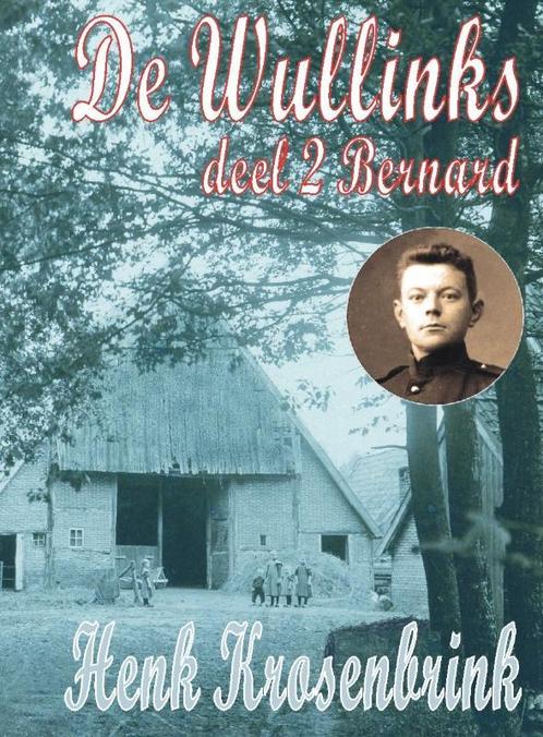 De Wullinks 2 Bernard 9789055122806 Henk Krosenbrink, Boeken, Streekboeken en Streekromans, Gelezen, Verzenden
