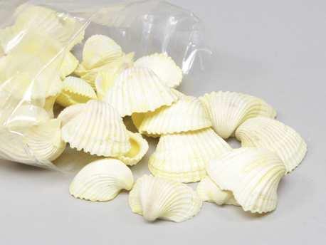 Chippy Pastel schelpen yellow washed, 1 kilo, Hobby en Vrije tijd, Knutselen, Nieuw, Ophalen of Verzenden