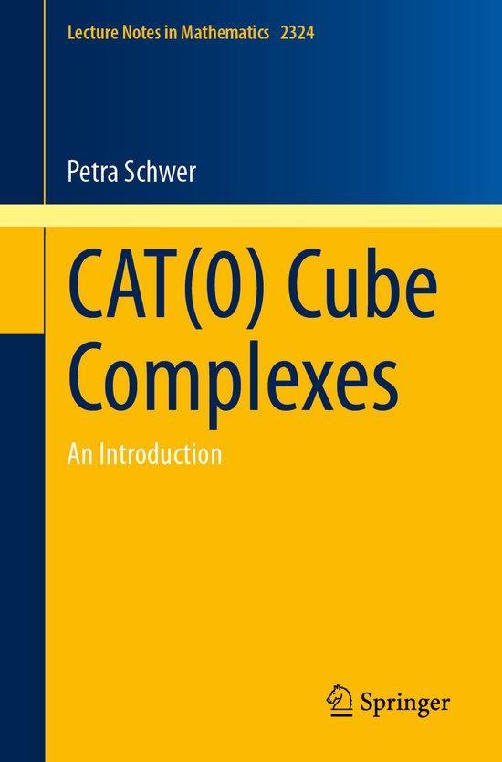 9783031436215 Lecture Notes in Mathematics- CAT(0) Cube C..., Boeken, Studieboeken en Cursussen, Nieuw, Verzenden