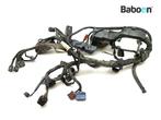 Kabelboom Honda VFR 800 X Crossrunner 2011-2014 (VFR800X, Verzenden, Gebruikt