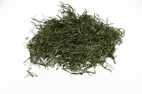 Tillandsia preserved applegreen forestmos 300 pres, Hobby en Vrije tijd, Knutselen, Nieuw, Ophalen of Verzenden