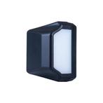 Horpol LED Kentekenverlichting 12-24V Zwart NEON-Look LTD 28, Auto-onderdelen, Verlichting, Ophalen of Verzenden, Nieuw