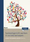 Systeemgericht werken in sociale beroepen 9789024407873