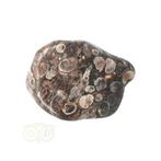 Turitella Agaat trommelsteen Nr 42 - 28 gram, Nieuw, Verzenden