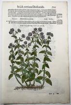 Giorgio Liberale; W. Meyerpeck - Folio, 2 large woodcuts,, Antiek en Kunst