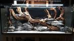 Golden wood 55-70cm aquarium decoratie hout, Dieren en Toebehoren, Vissen | Aquaria en Toebehoren, Nieuw, Sierelement, Verzenden