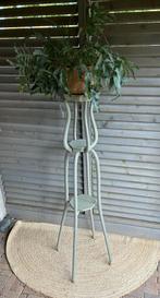 Plantentafel Lichen, Verzenden, Zo goed als nieuw, Sfeervol , brocante, 60 cm of meer