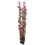 Osaka aquarium kunst plant Ludwigia 60cm art. 517, Dieren en Toebehoren, Ophalen of Verzenden, Nieuw, Plant(en), Steen of Hout