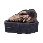 Dragon Skull Box - Monte Moore - 17,7cm, Verzamelen, Ophalen of Verzenden, Nieuw