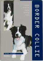 Border Collie. Aanschaf, verzorging, voeding, fokken, Verzenden, Zo goed als nieuw, Esther Verhoef