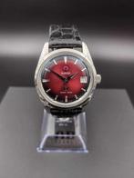 Rado - Golden Horse - Limited Edition - Zonder Minimumprijs, Nieuw
