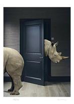Mr Strange - Apartment Rhinoceros
