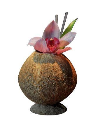 Cocktail Beker | Kokosnoot |  9x13cm, Zakelijke goederen, Horeca | Overige, Verzenden