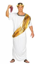 Caesar Kostuum Romeins, Nieuw, Verzenden