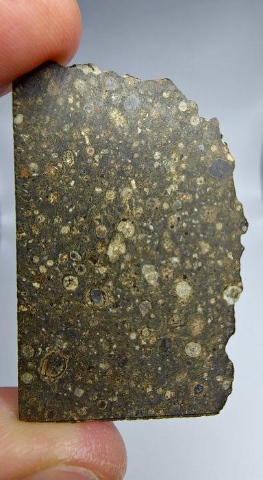 El Atchane 025, koolstofachtig CK3. Met goed gedefinieerde, Verzamelen, Mineralen en Fossielen