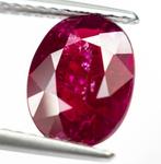 Zonder Minimumprijs Robijn - 2.00 ct - Lotus Gemology -, Nieuw