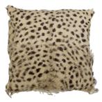 kussen geit cheetah 40x40cm, Verzenden, Nieuw