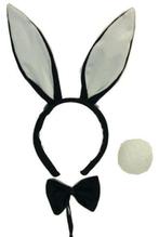Bunny set zwart, Kleding | Dames, Carnavalskleding en Feestkleding, Ophalen of Verzenden, Nieuw