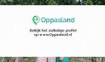 Susan zoekt een oppas in Helvoirt voor 1 kind op dinsdag,...
