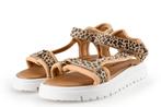 Nelson Sandalen in maat 36 Panter | 10% korting, Verzenden, Jongen of Meisje, Schoenen, Zo goed als nieuw