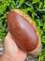Unique XXL Shiva Lingam, 21 x 11 cm- 3.44 kg