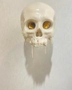 Sylvain BARBEROT - Skull#1