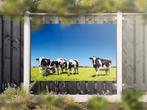 NR 1317: Tuinposter zwart-witte koeien in wei 120x180cm, Nieuw
