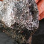 Asteroïdekern - IJzermeteorietfragmenten Meteoriet - Campo, Nieuw