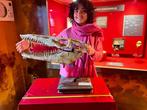Zeereptiel - Fossiele schedel - Mosasaurus sp. - 22 cm - 18, Verzamelen