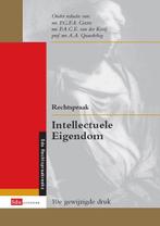 Rechtspraak intellectuele eigendom 9789012390620, Verzenden, Gelezen